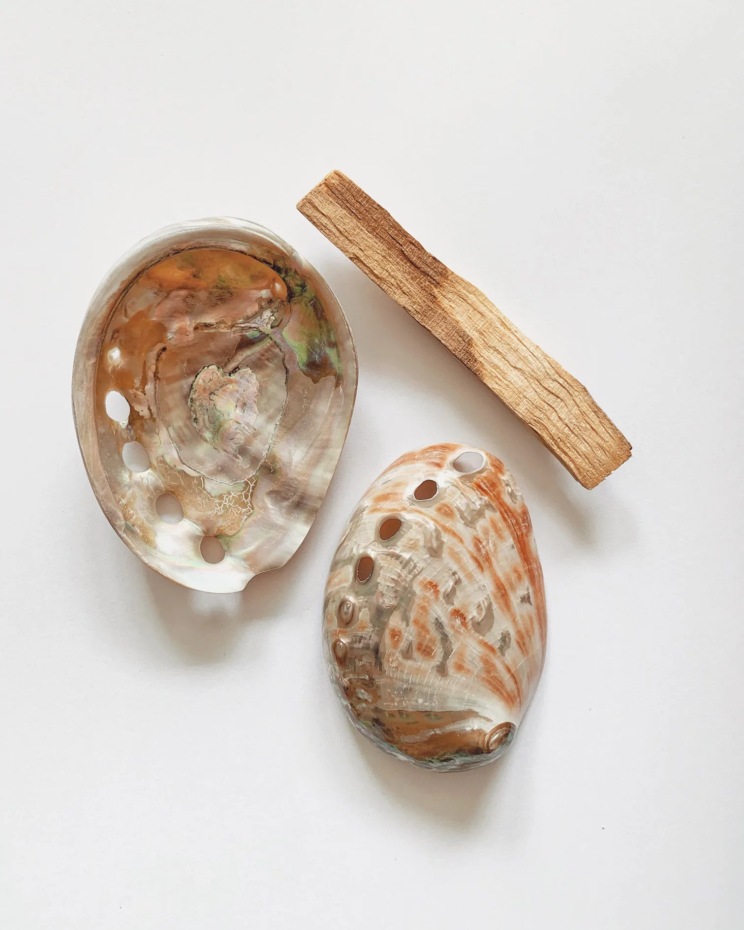 Small Red Natural Abalone Shell (7cm)