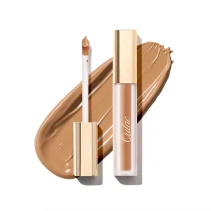 Stay Real Concealer | W6 Honey