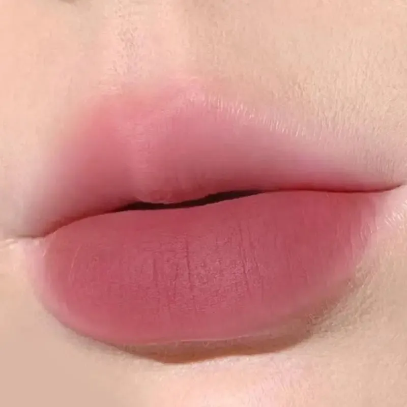 Toleet-Christmas/Thanksgiving Gift Winter Makeup Ideas Velvet Matte Lipstick Moisturizing Waterproof Lasting Nude Apricot Lip Tint Non-stick Cup Lip Gloss Lipstick Cosmetics Make Up