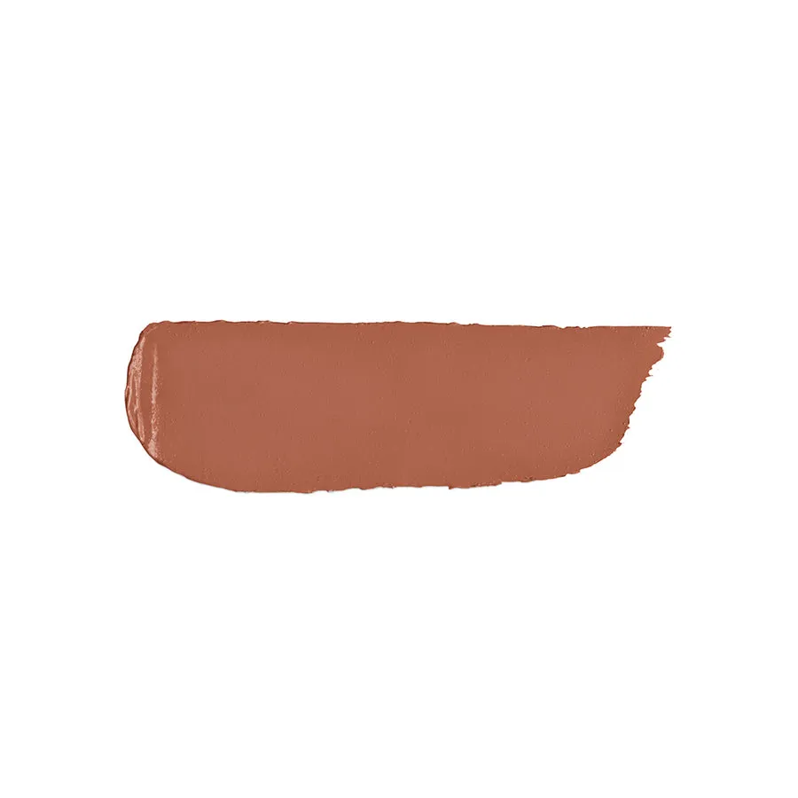 Velvet Passion Matte Lipstick pomadka do ust zapewniająca matowy efekt 301 Beige 3.5g