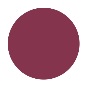 Vinyl Lip Lacquer