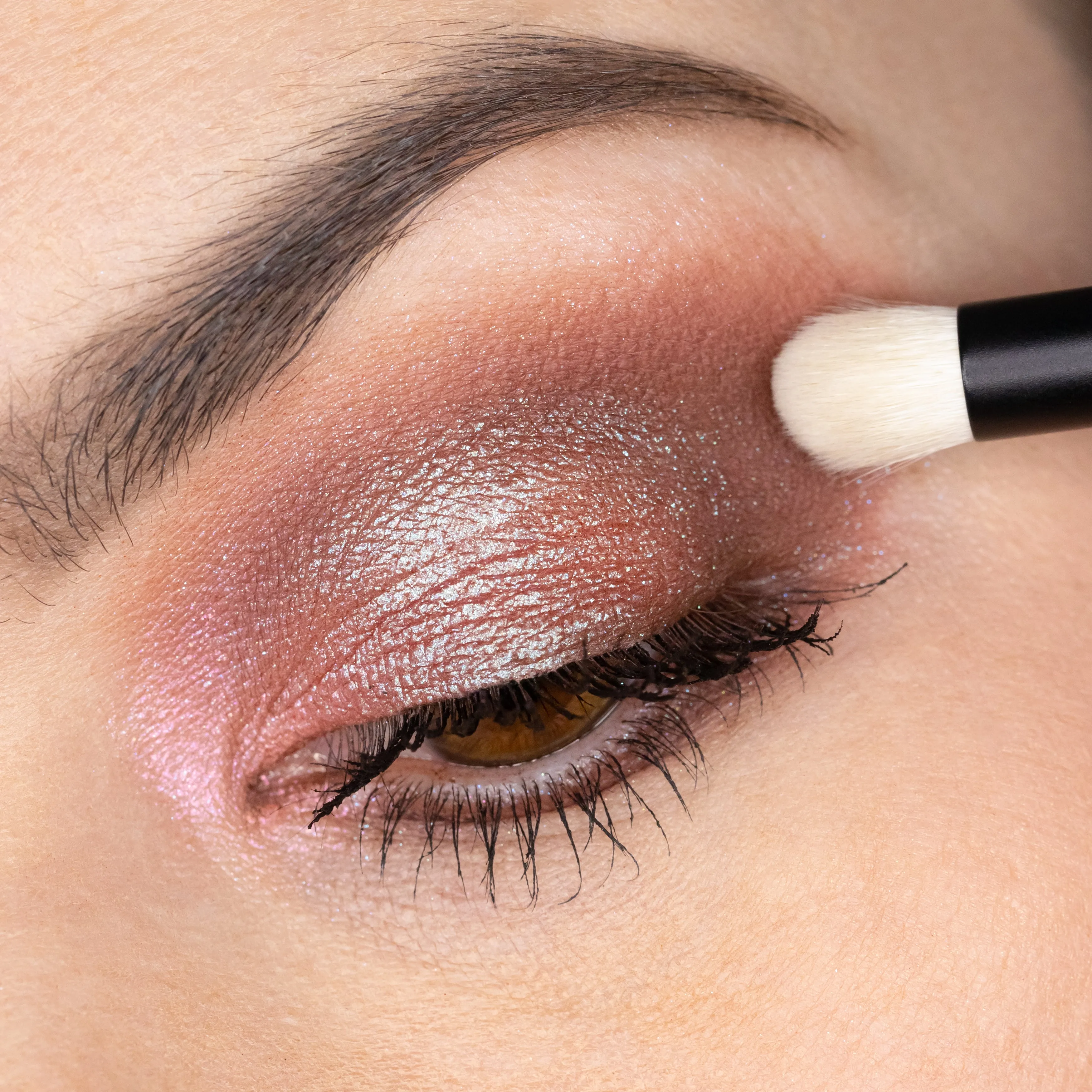 Whats Up Beauty - 6 Eyeshadow Brushes (R107, R108, R109, R110, R111, R112)
